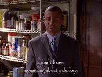 season 2 netflix GIF by Gilmore Girls 