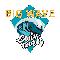Watersport Wingfoil Sticker by swissfoiling