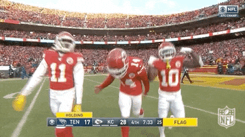 National Football League GIF by NFL