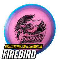 Disc Golf Sticker by Innova Discs