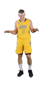 Basketball Team Sticker by ACSL - Austrian College Sports League