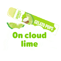Summer Lime Sticker by DeeBee's