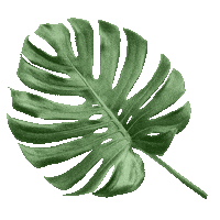 Summer Spring Sticker by Vnukovo Outlet Village