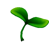 Dance Flower Sticker