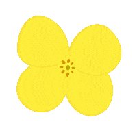 Flower Sticker by sylterinselliebe