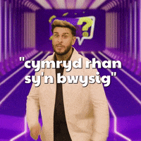 CWISBOBDYDD  GIF