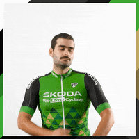 SkodaWeLoveCyclingFr happy cycling skoda skoda we love cycling GIF