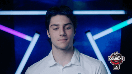 National Hockey League Sport GIF by NHL