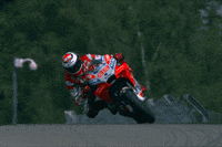 happy marc marquez GIF by MotoGP
