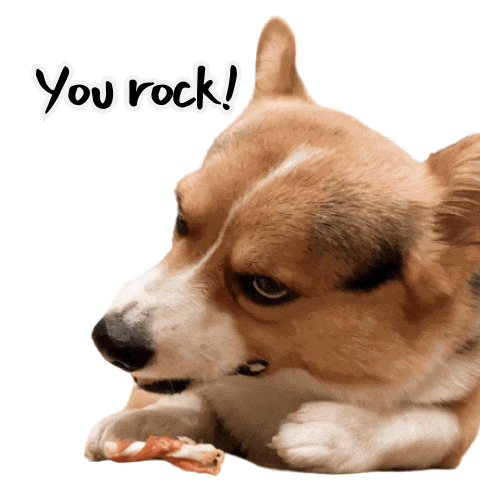 Rock Corgi Sticker