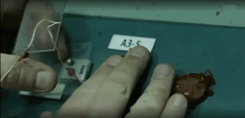 mushon giphygifmaker accident atomic meltdown GIF