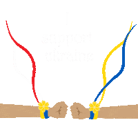 Ukraine Kyiv Sticker by Socialsharks Georgia