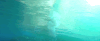 GIF by Moana