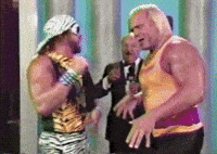 Hulk Hogan Agree GIF