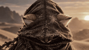desertcatadventures sandisk hero cat sndk desert cat GIF