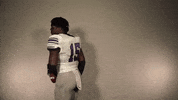 St Thomas Flex GIF by Tommie Athletics