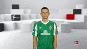 Werder Bremen Football GIF by Bundesliga
