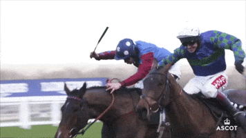 Horse Racing GIF by Ascot Racecourse