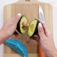 GIF by Hollar