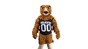 Mascot Pembroke Sticker by UNCP Braves Athletics