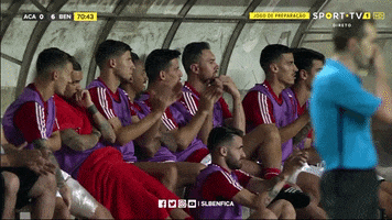 SL_Benfica gabriel benfica rafa slb GIF