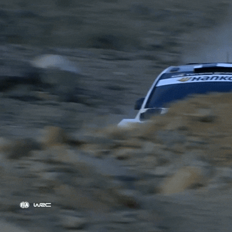 Driving Saudi Arabia GIF by FIA World Rally Championship
