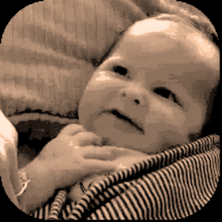 ejbytes giphygifmaker giphycreatortest babybird ejbytes GIF