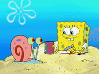 season 8 GIF by SpongeBob SquarePants