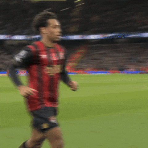 Premier League Hug GIF by AFC Bournemouth