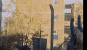 Couple Dancing GIF by Ultra Records