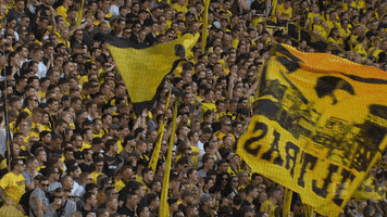 hands up football GIF by Borussia Dortmund