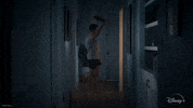 Turner And Hooch GIF by Disney+