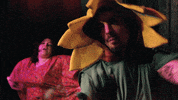 flanderscompany dance wtf flower kevin GIF