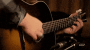 marcus king band rock GIF