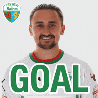 the new saints football GIF by TNSFC