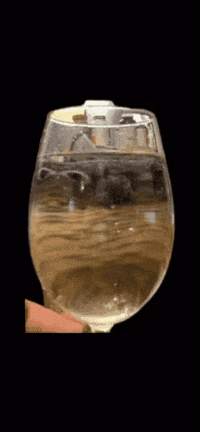 Wine Bird GIF