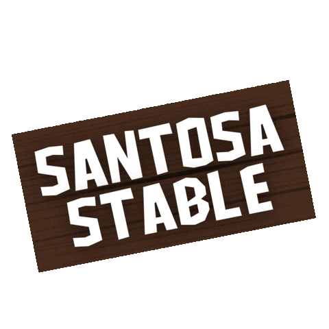 santosastable giphyupload horse jumping dressage Sticker