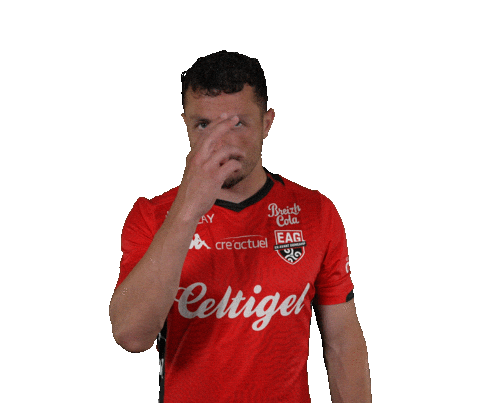Ligue 2 Football Sticker by EA Guingamp