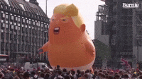 Cardi B Baby Trump Clip