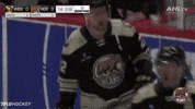 Mike Vecchione Surprise Hug GIF by Hershey Bears