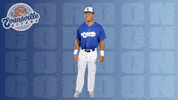 Happy Dance GIF by Evansville Otters