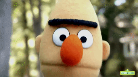 sesame street bert GIF