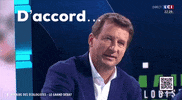 Yannick Jadot Ok GIF by 2022 l'écologie