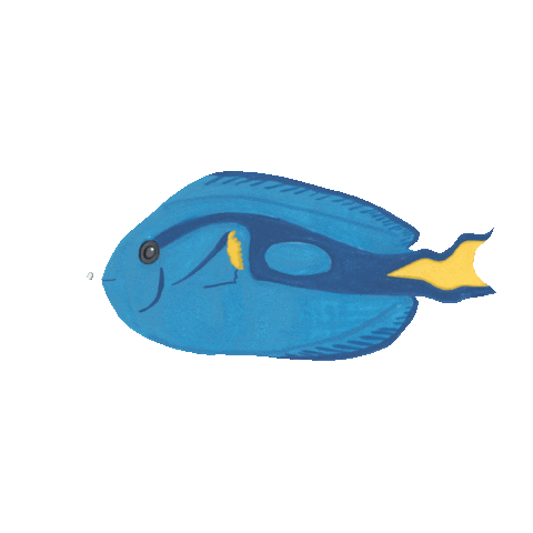 BeccaNuckley giphyupload dory under the sea blue tang Sticker