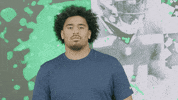American Football GIF by Seattle Seahawks