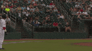 minor league baseball celebration GIF by Lansing Lugnuts