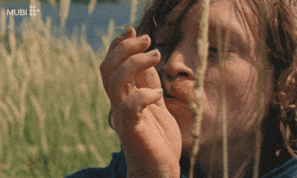 Frank Dillane Harvest GIF by MUBI