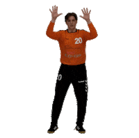 Goalkeeper Parade Sticker by Absolut Handball