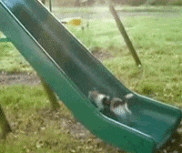 time videos GIF