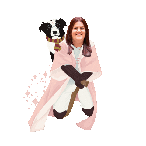 thesocialbolt harry potter wizard witches border collie Sticker